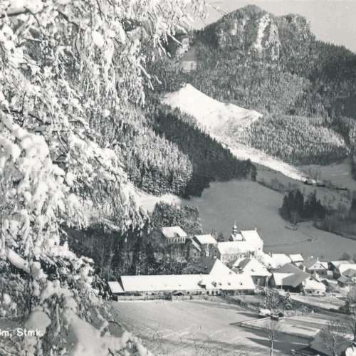 AK aus Mürzsteg Winterkarte Steiermark Ansichtskarte (9604)