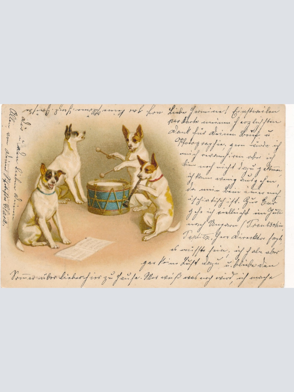 Motiv - Karte Hunde Musik Gruppe Talentierte Hunde machen Musik (10213)