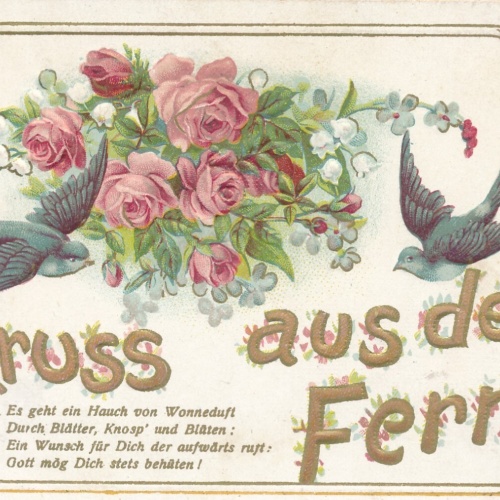 Präge - Motiv- Karte Gruss aus der Ferne mit Schwalben Ansichtskarte (10199)