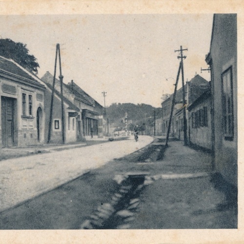 AK aus Trautmansdorf Niederösterreich Straßenansicht (J75)