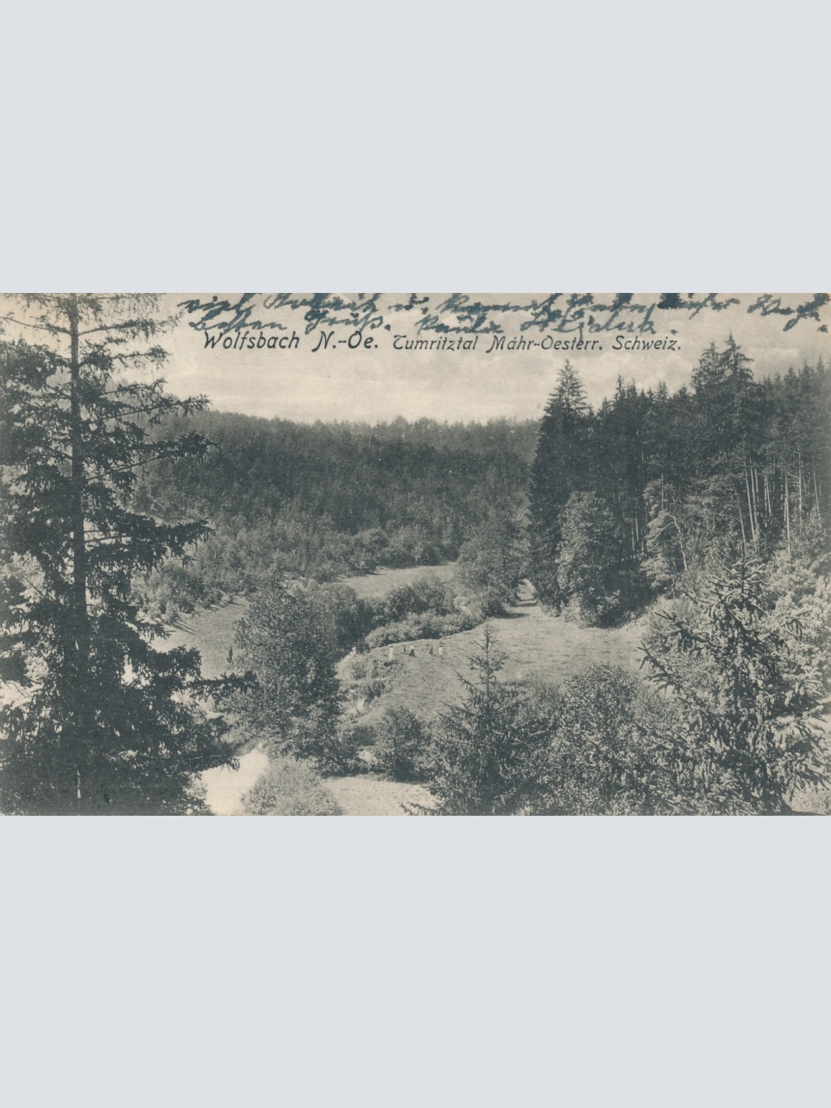 AK aus Wolfsbach Niederösterreich Ansichtskarte (10335)