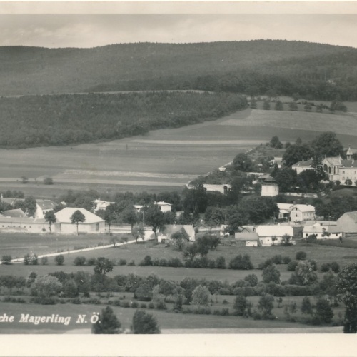 AK aus Mayerling Niederösterreich Ansichtskarte (10314)