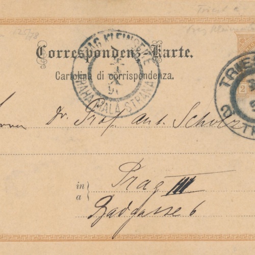 2 Kreuzer - Ganzsachen - Karte aus 1896 Triest - Trieste (10128)