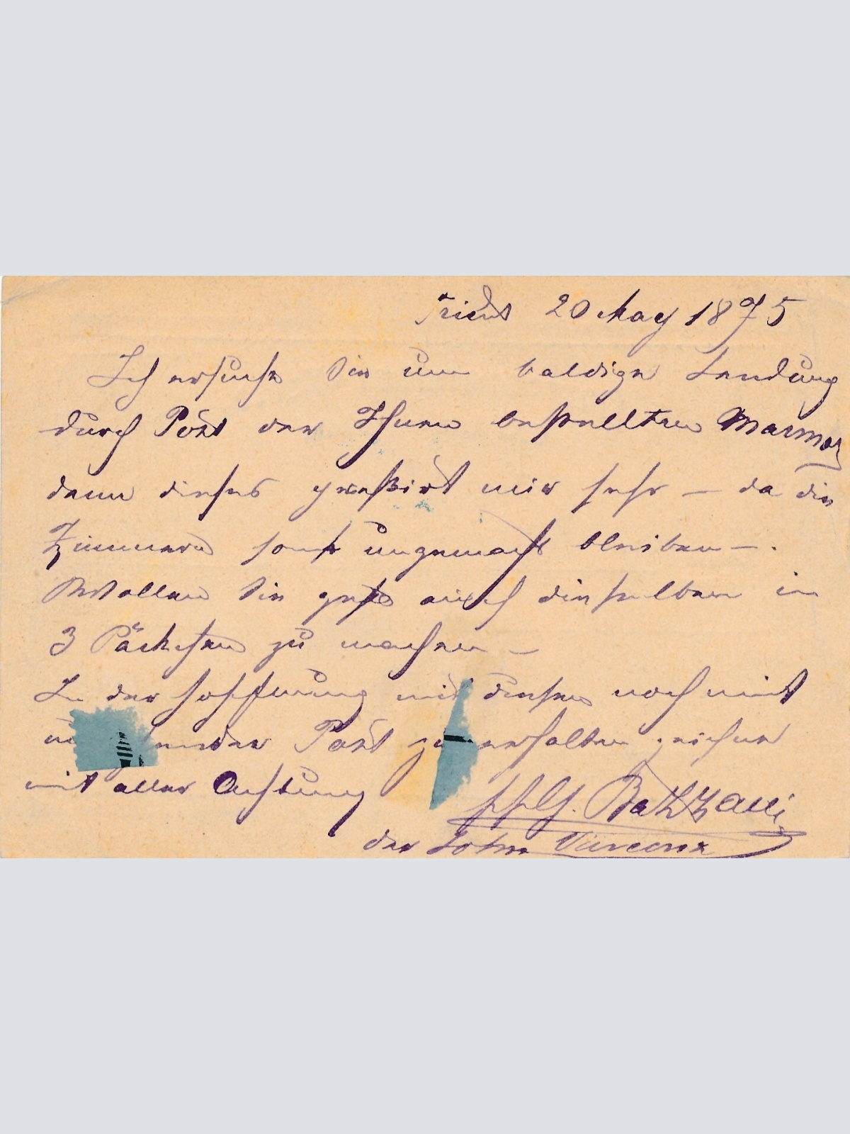 2 Kreuzer Ganzsachen - Karte 1875 aus Trento (10515)