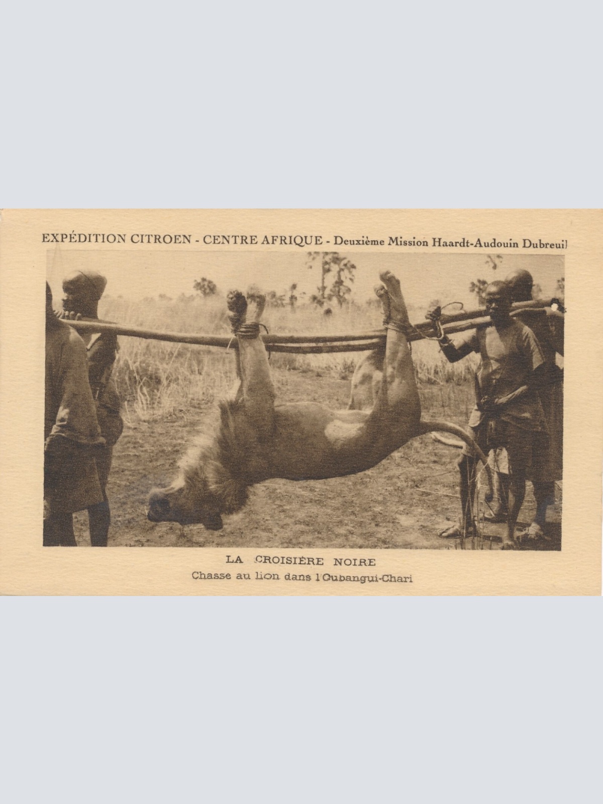 AK aus Noire Kongo Männer auf der Löwen Jagt Ansichtskarte (9361)