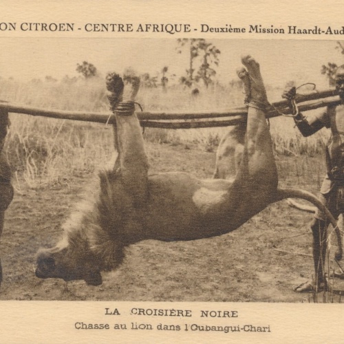 AK aus Noire Kongo Männer auf der Löwen Jagt Ansichtskarte (9361)