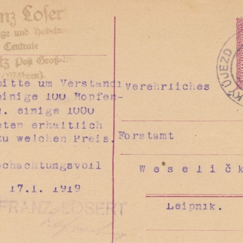 10 Heller - Ganzsachen - 1919 aus Velkyüjezd (10642)
