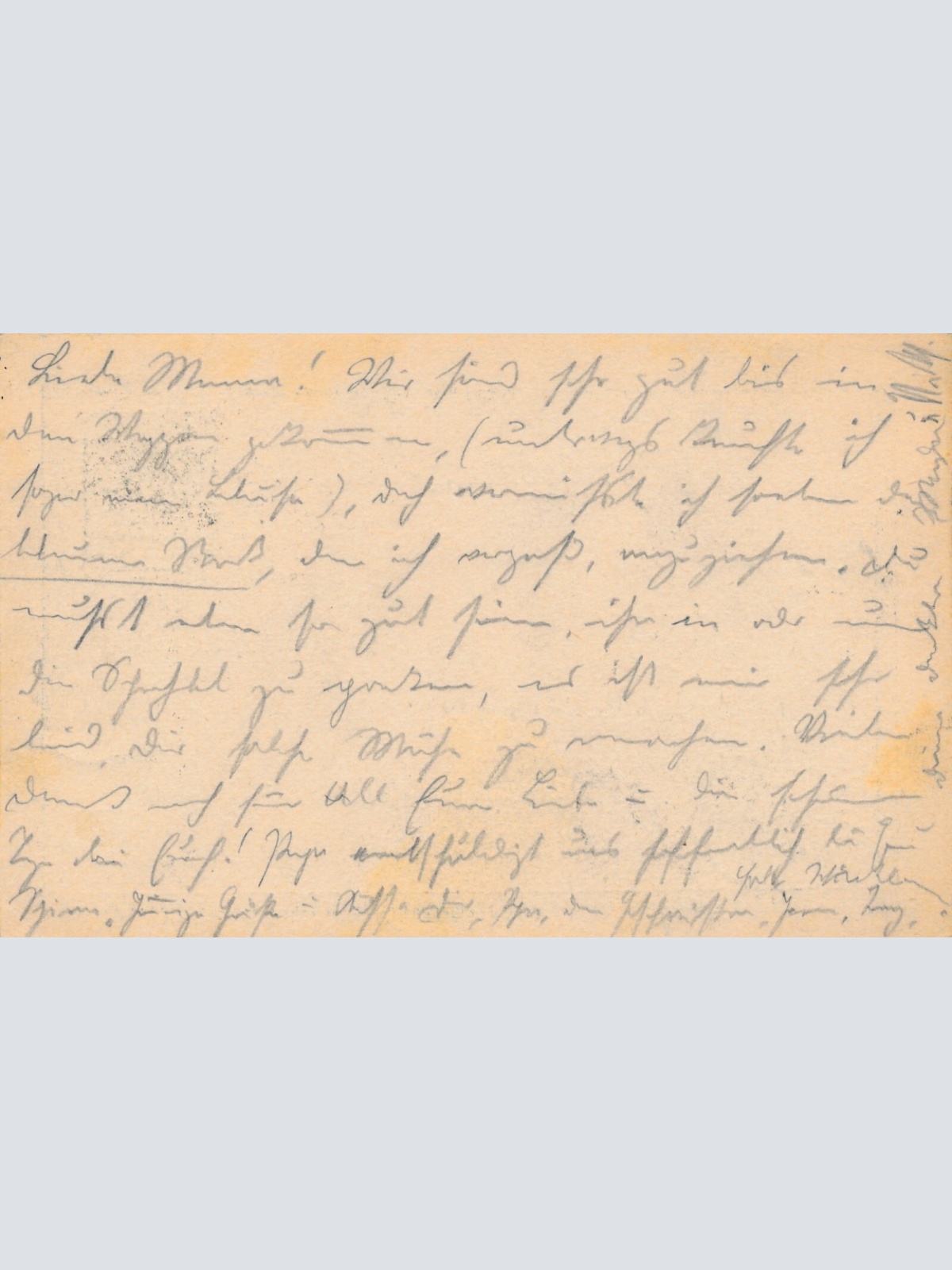 5 Heller - Ganzsachen - Karte 1903 aus Neustadt  (10657)