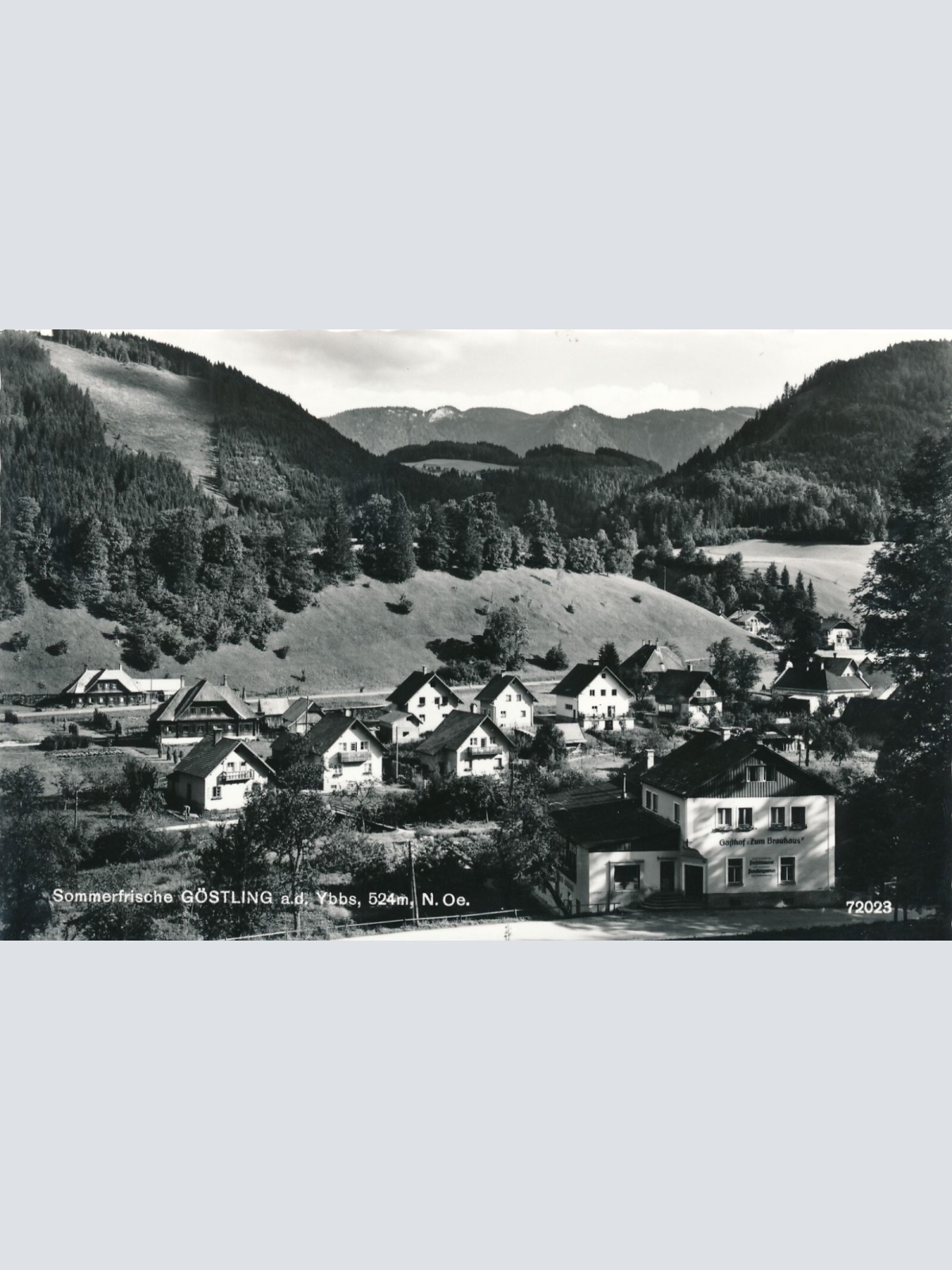 AK aus Göstling Niederösterreich (10490)