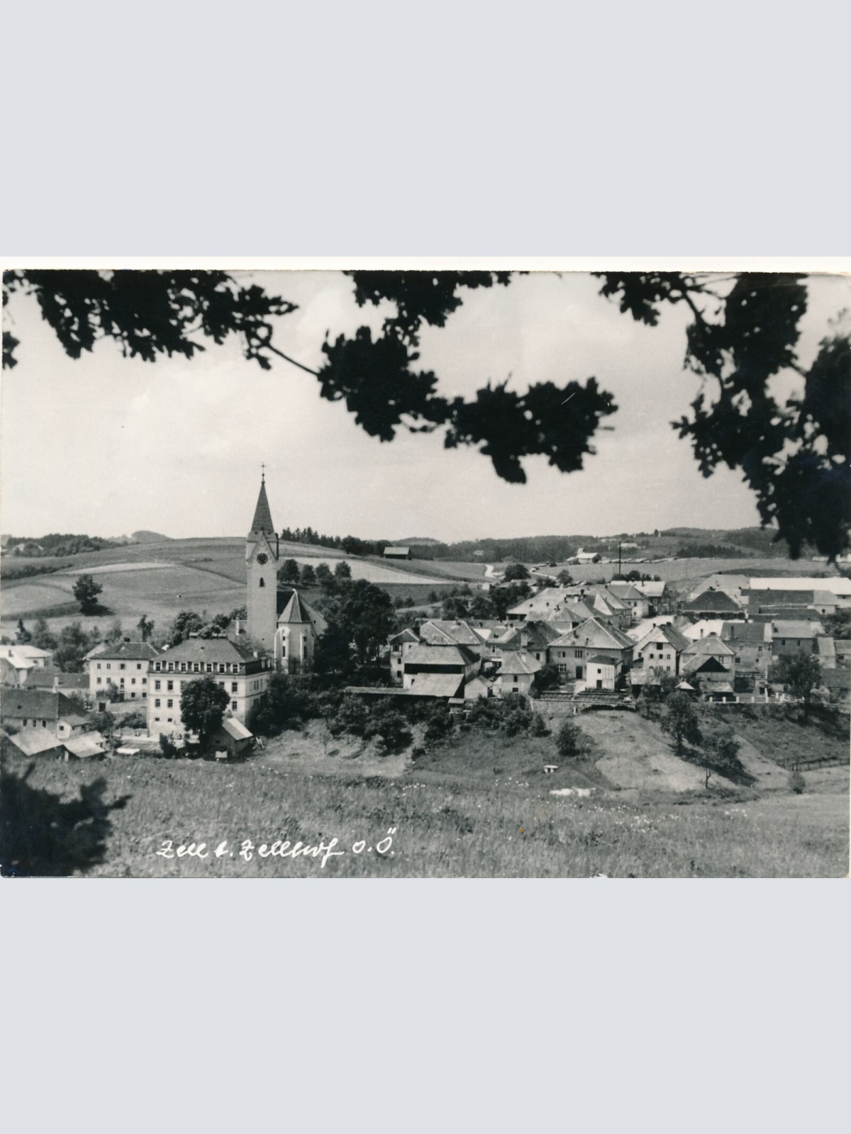 AK aus Zell am Zellhof Oberösterreich (10481)