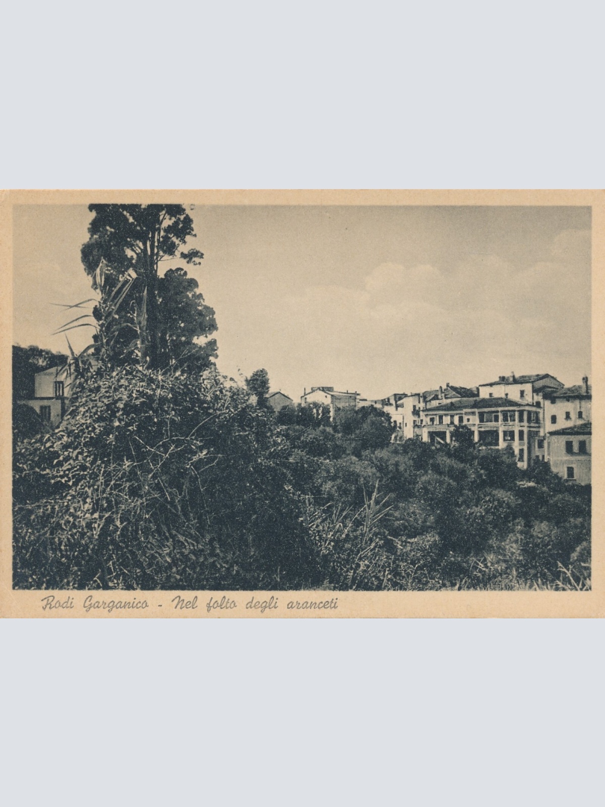 AK aus Rodi Garganico Italien Ansichtskarte (10939)