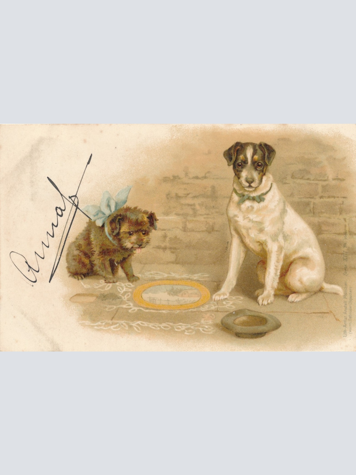 Motiv - Karte von zwei Hunden Ansichtskarte (10375)