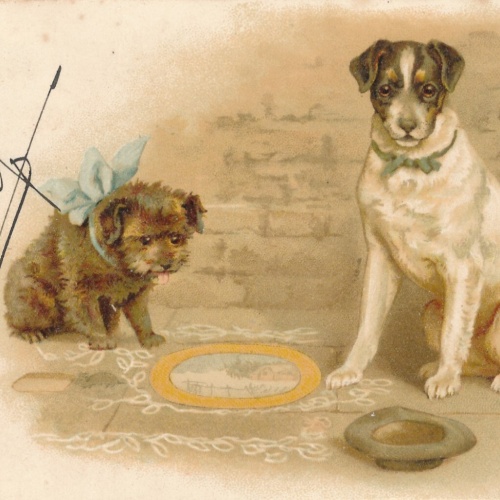 Motiv - Karte von zwei Hunden Ansichtskarte (10375)