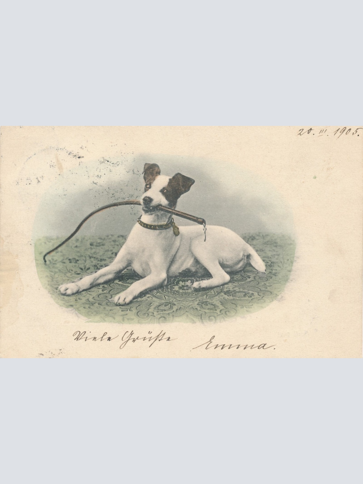 Motiv - Karte von einem Hund mit Peitsche im Maul Ansichtskarte (10366)