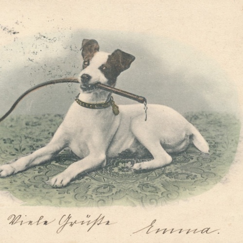 Motiv - Karte von einem Hund mit Peitsche im Maul Ansichtskarte (10366)