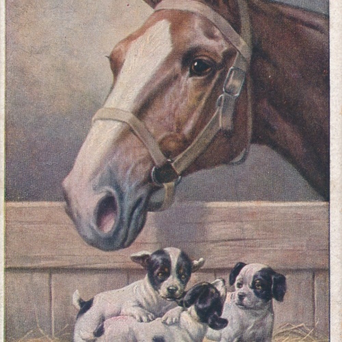 Motiv - Karte drei Hunden mit Pferd Ansichtskarte (10370)