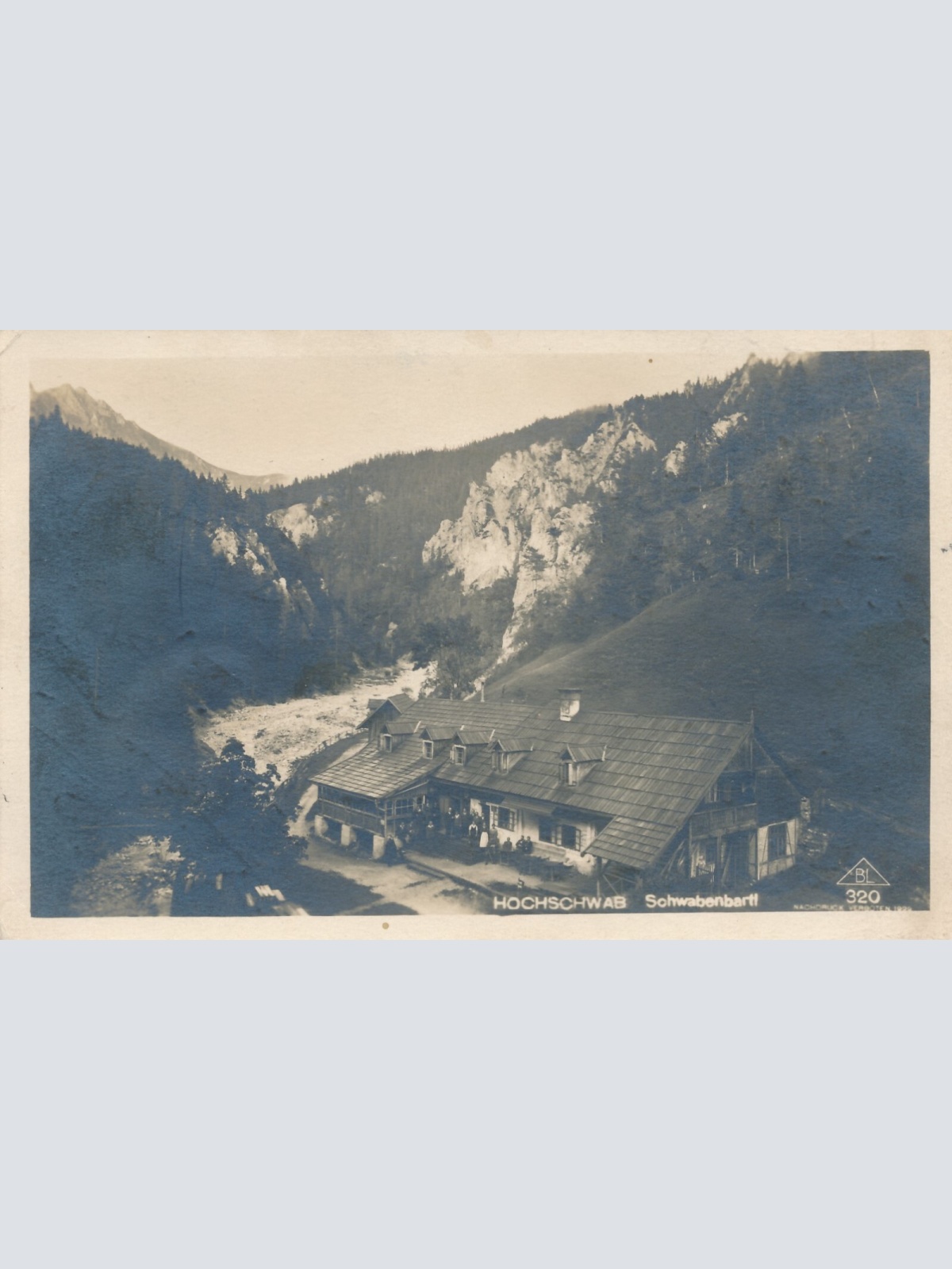 AK aus Hochschwab Schwabenbartl Steiermark Ansichtskarte (10974)