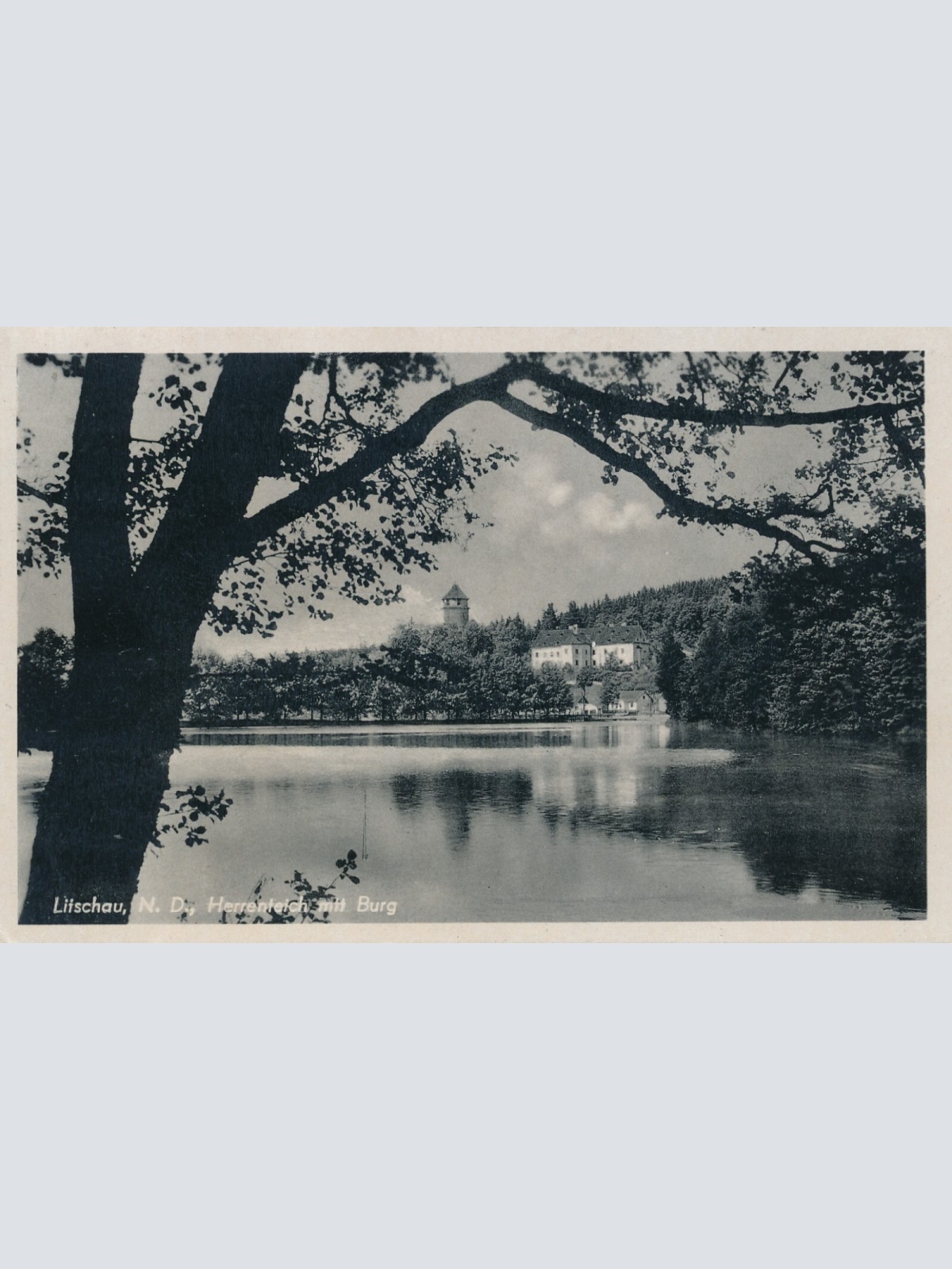 AK aus Litschau Niederösterreich Ansichtskarte (10956)