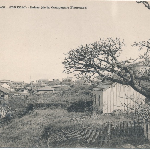 AK aus Senegal Dakar Ansichtskarte (9680)