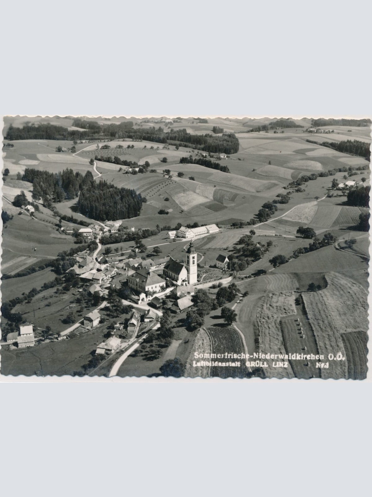 AK, Niederwaldkirchen, Oberösterreich (S2516)