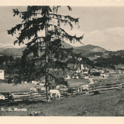 AK aus Neumarkt Steiermark Ansichtskarte (10839)