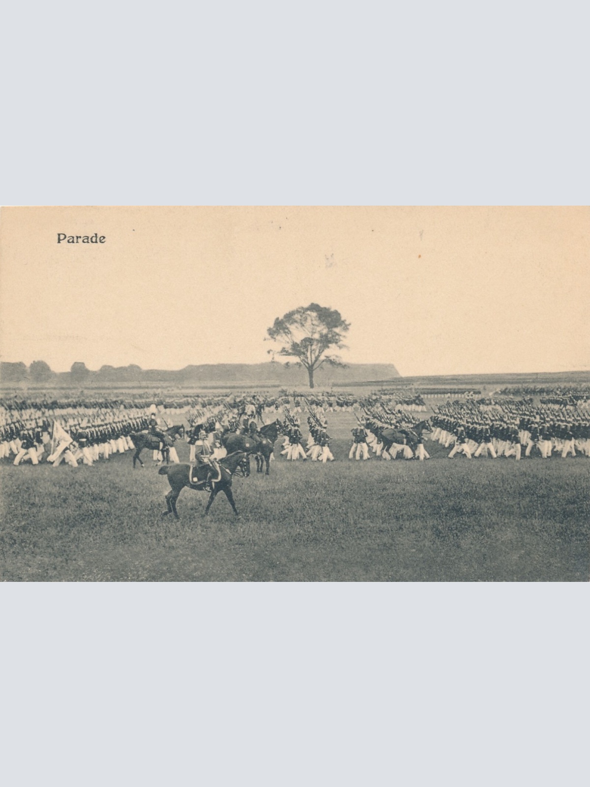 AK aus Berlin von der Parade mit Pferden Ansichtskarte (11352)