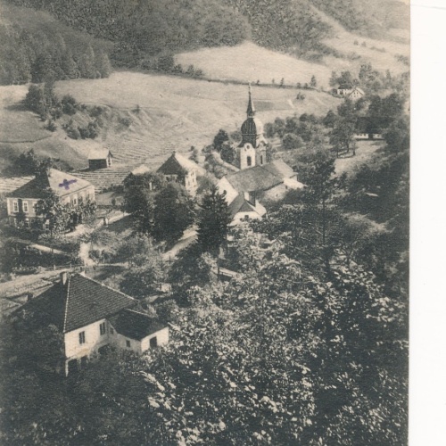 AK aus Laus bei Losenstein Oberösterreich (11153)