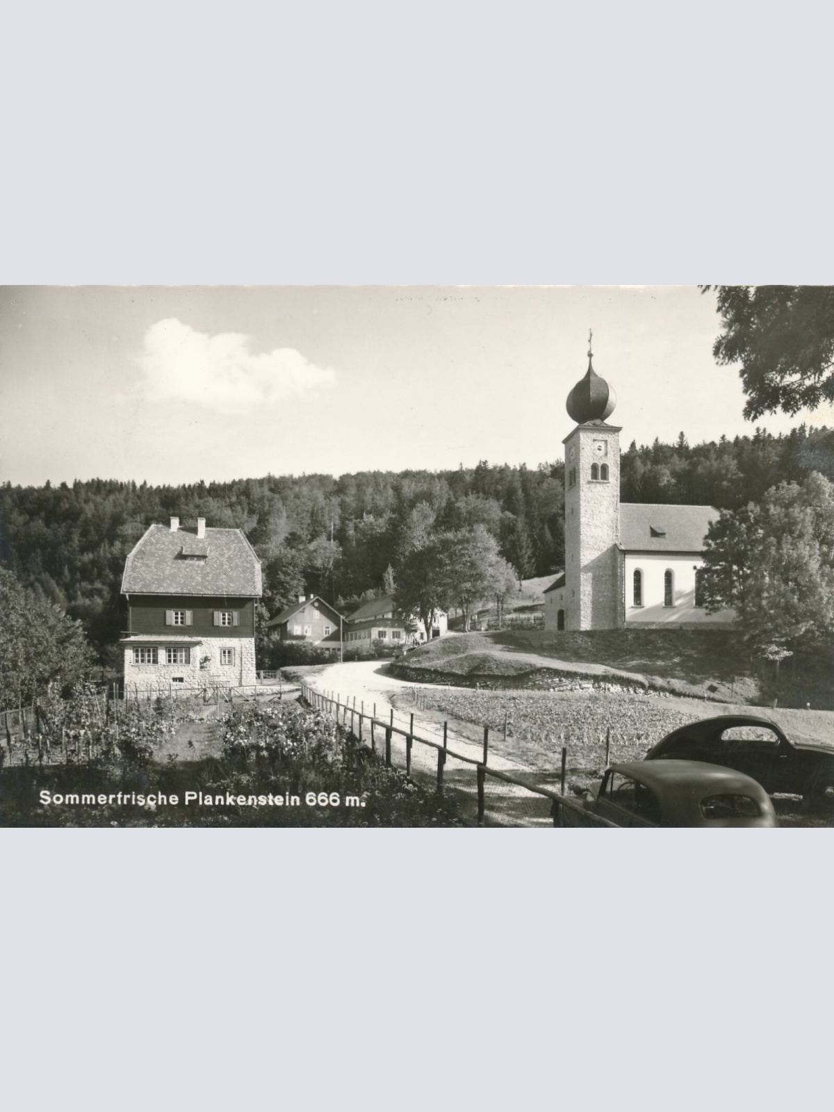 AK aus Plankenstein Niederösterreich Ansichtskarte (11628)