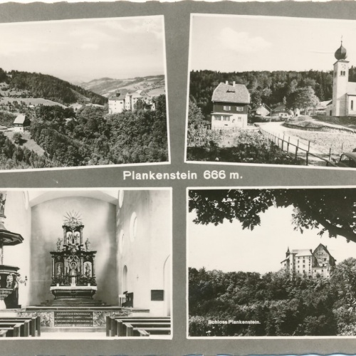 AK aus Plankenstein Niederösterreich Ansichtskarte (11629)