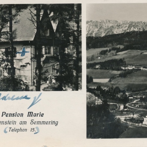 AK aus Breitenstein mit Pension Marie Niederösterreich Ansichtskarte (11445)