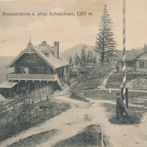 AK gruss von der Bürgeralpe bei Maria Zell Steiermark Ansichtskarte (11992)