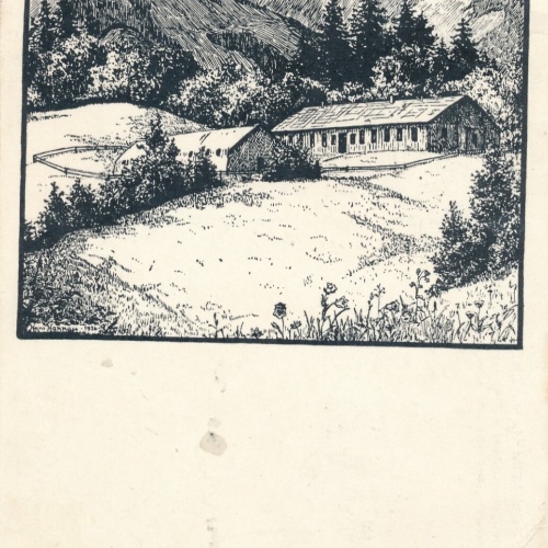 AK aus Mariazell Alpenheim Steiermark Ansichtskarte (12001)