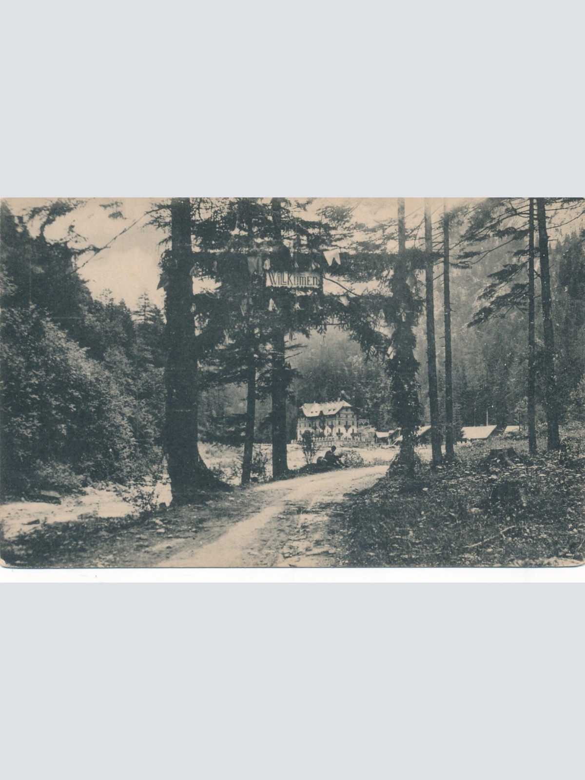 AK aus Aflenz mit Erholungsheim Fölz Steiermark Ansichtskarte (11961)