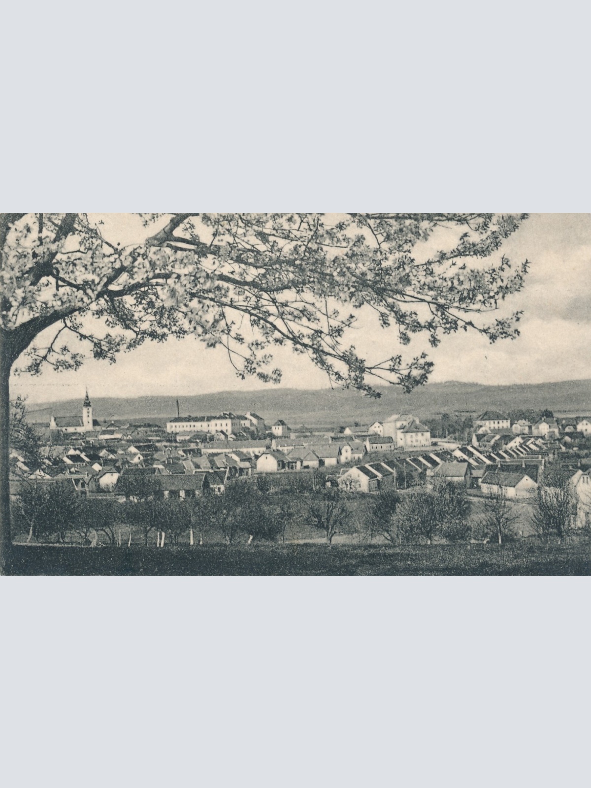 AK aus Fürstenfeld Steiermark Ansichtskarte (11962)