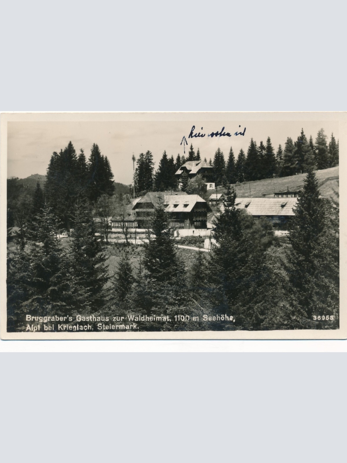 AK aus Krieglach mit Gasthaus Waldheimat Steiermark Ansichtskarte (11945)
