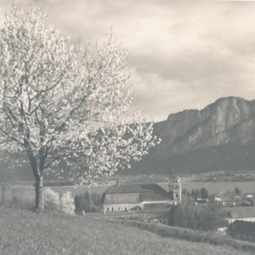 AK, Mondsee, Oberösterreich (S2826)