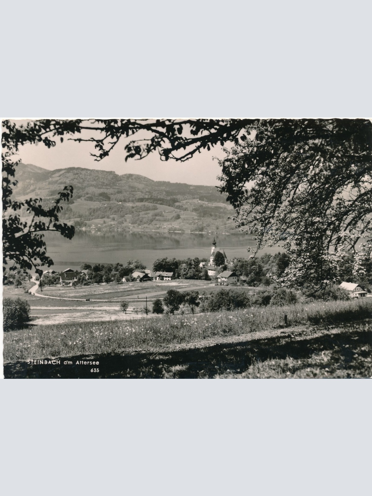 AK aus Steinbach Oberösterreich Ansichtskarte (11759)