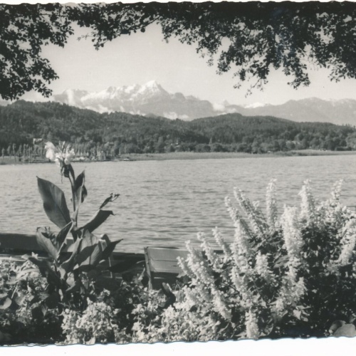 AK vom Wörthersee Kärnten Ansichtskarte (12180)