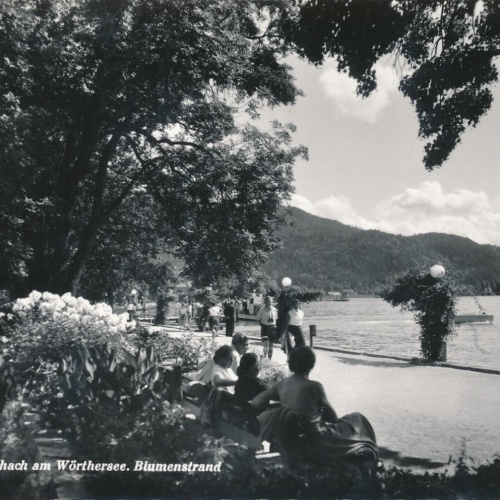 AK aus Pörtschach mit Blumenstrand Kärnten Ansichtskarte (12212)