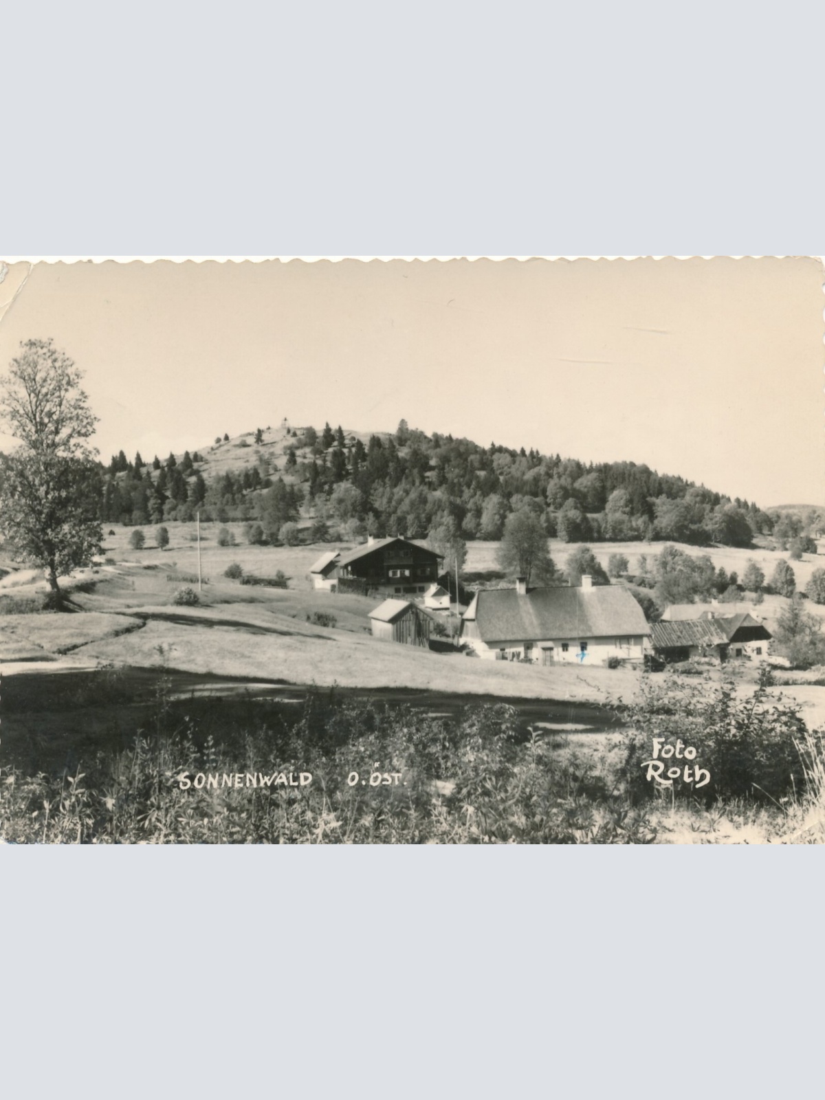 AK aus Sonnwald Oberösterreich Ansichtskarte (11489)