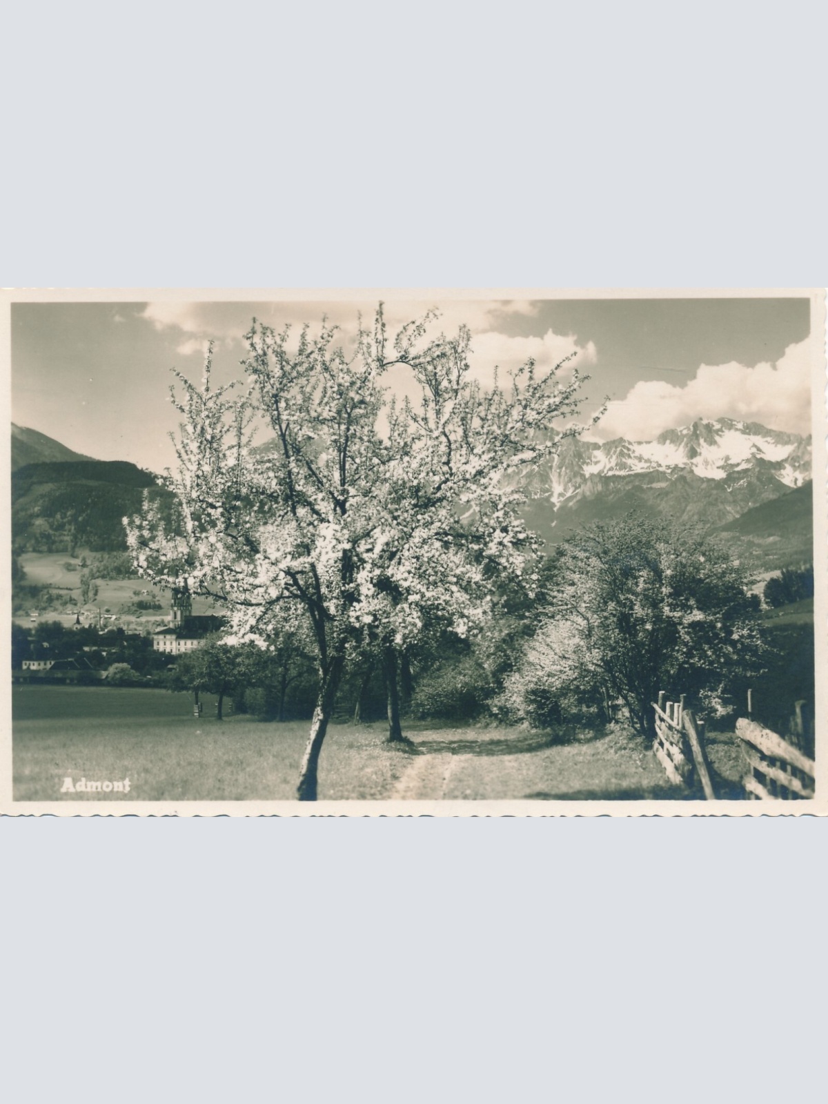 AK aus Admont Steiermark Ansichtskarte (12407)