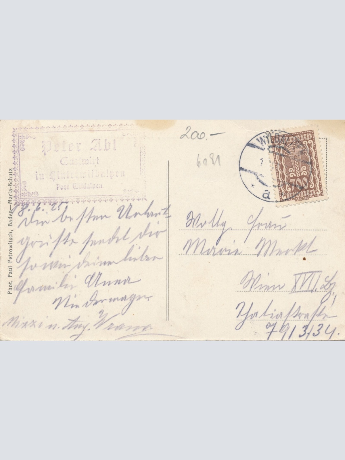 AK Hinter Wildalpen Steiermark Ansichtskarte (12602)