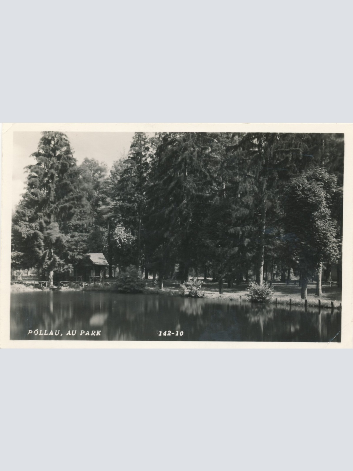 AK aus Pöllau au Park Steiermark Ansichtskarte (12629)