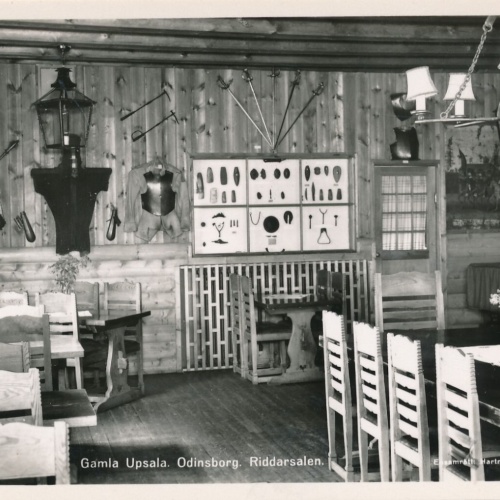 AK aus Uppsala Odinsborg Schweden Ansichtskarte (12553)