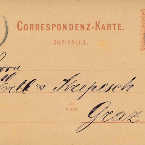 2 Kreuzer - Ganzsachen - Karte 1881 aus Laibach (12298)