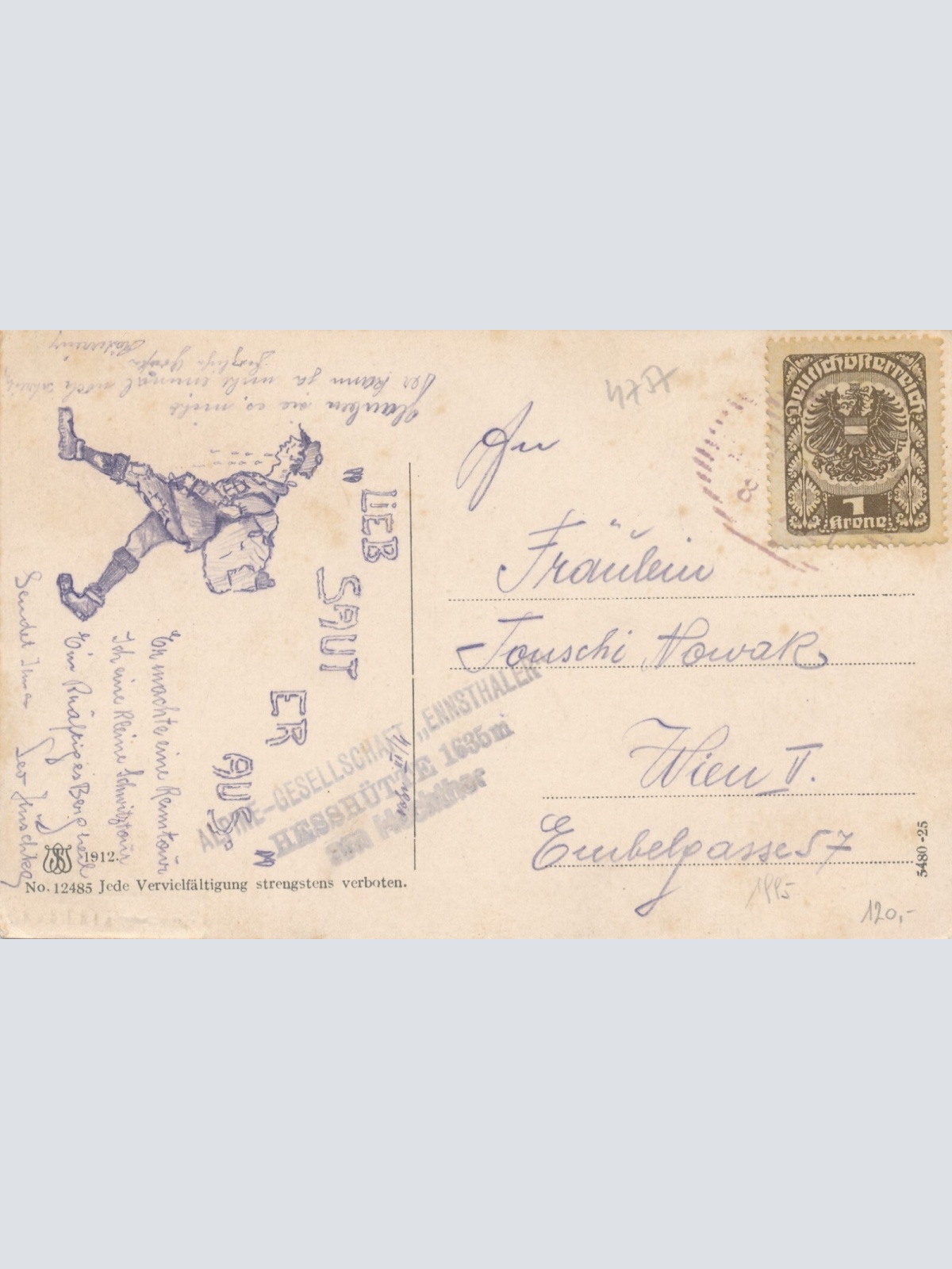 AK aus Hieflau Steiermark Ansichtskarte (12346)