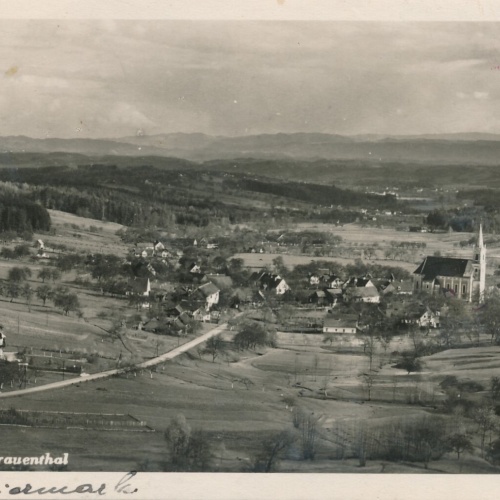 AK aus Gams ob Frauenthal Steiermark Ansichtskarte (12377)