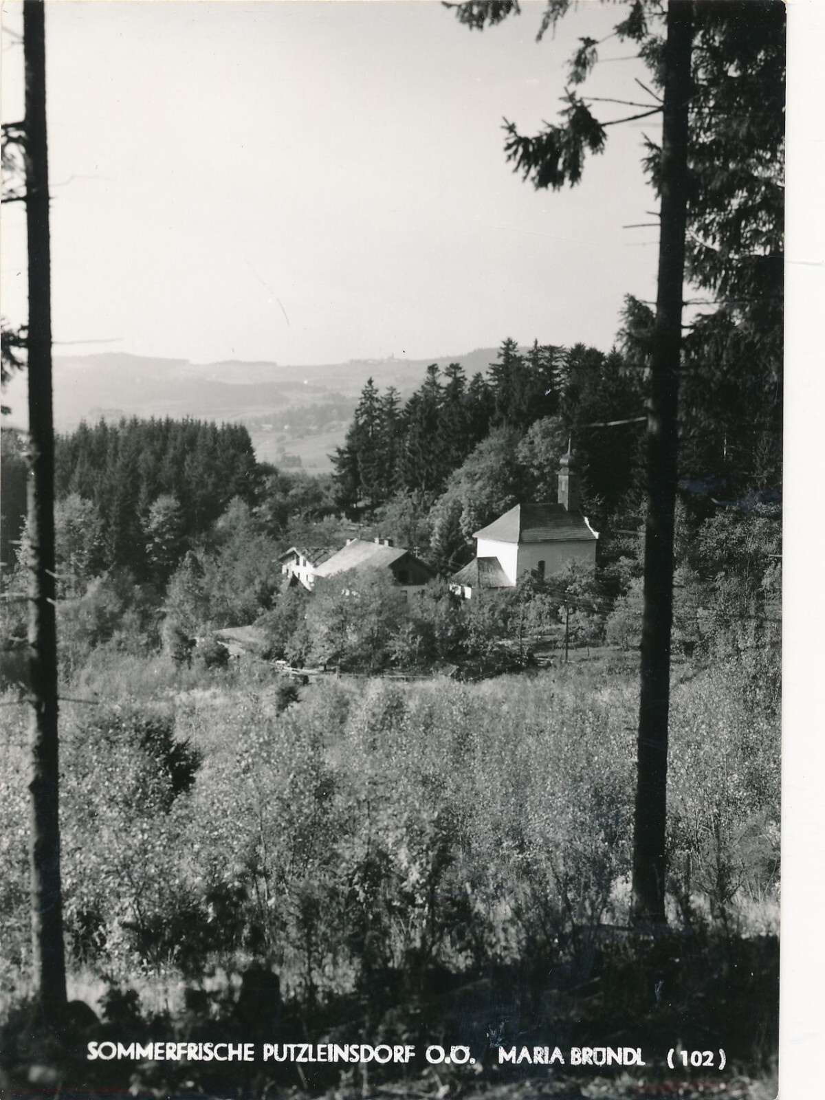 AK aus Putzleinsdorf Oberösterreich Ansichtskarte (12939)