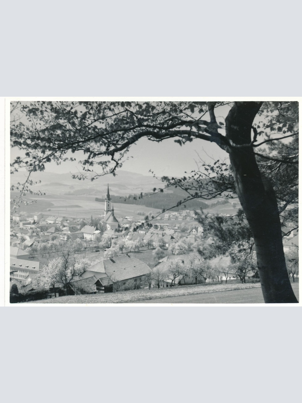 AK aus Rohrbach Oberösterreich Ansichtskarte (12934)