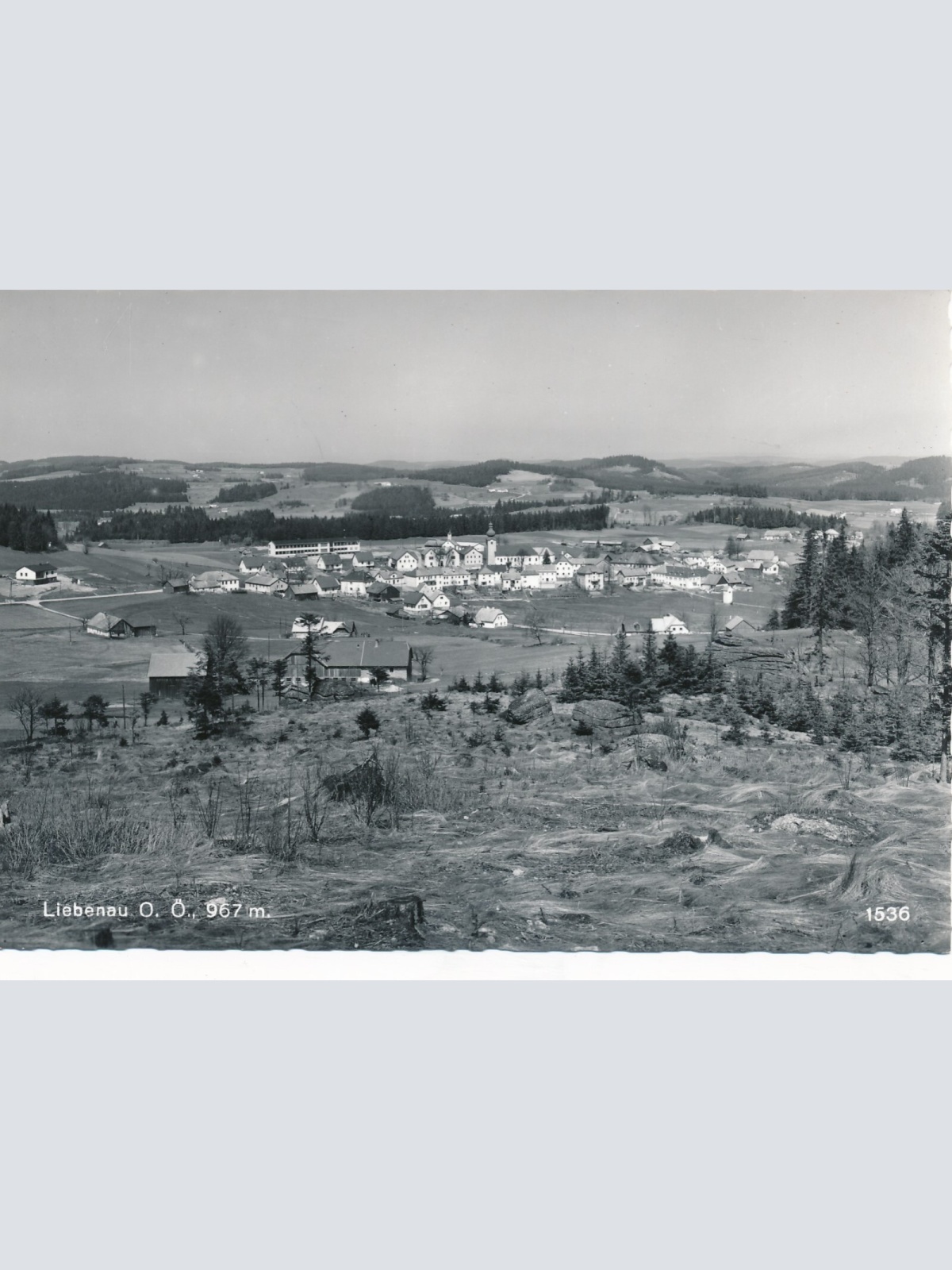 AK aus Liebenau Oberösterreich Ansichtskarte (12881)